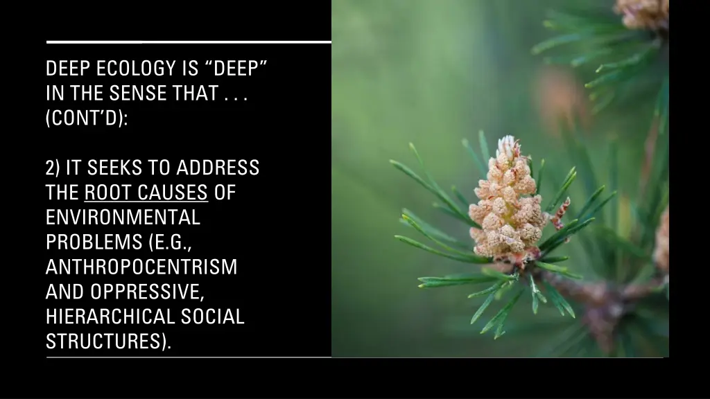 deep ecology is deep in the sense that cont d