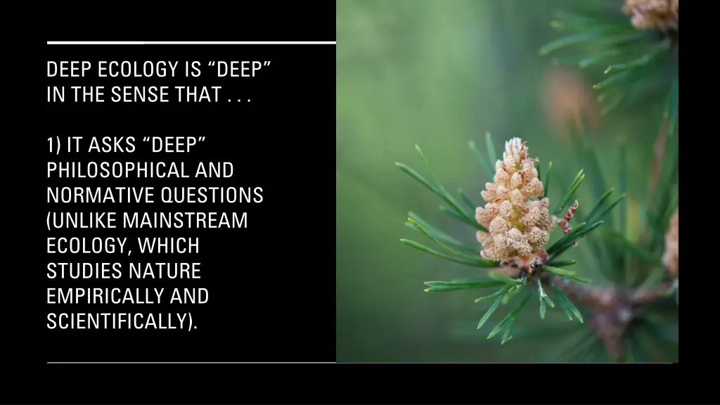 deep ecology is deep in the sense that