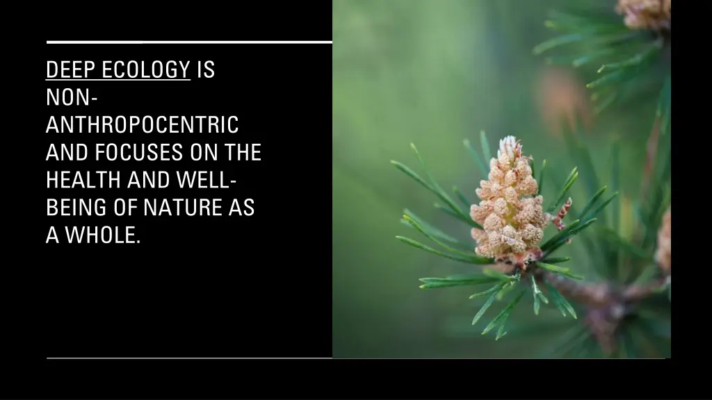 deep ecology is non anthropocentric and focuses