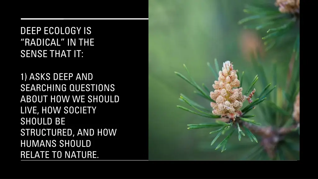 deep ecology is radical in the sense that it