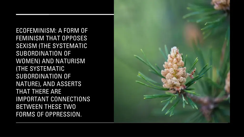 ecofeminism a form of feminism that opposes