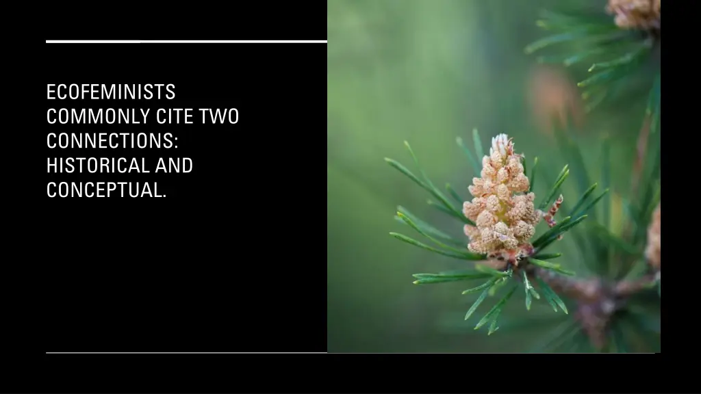 ecofeminists commonly cite two connections