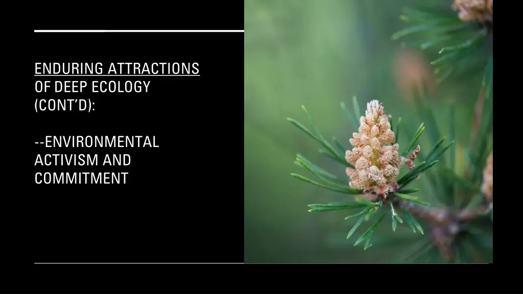 enduring attractions of deep ecology cont d