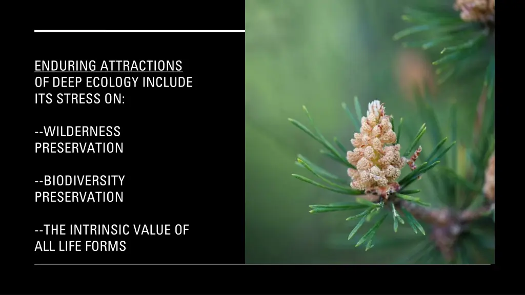 enduring attractions of deep ecology include