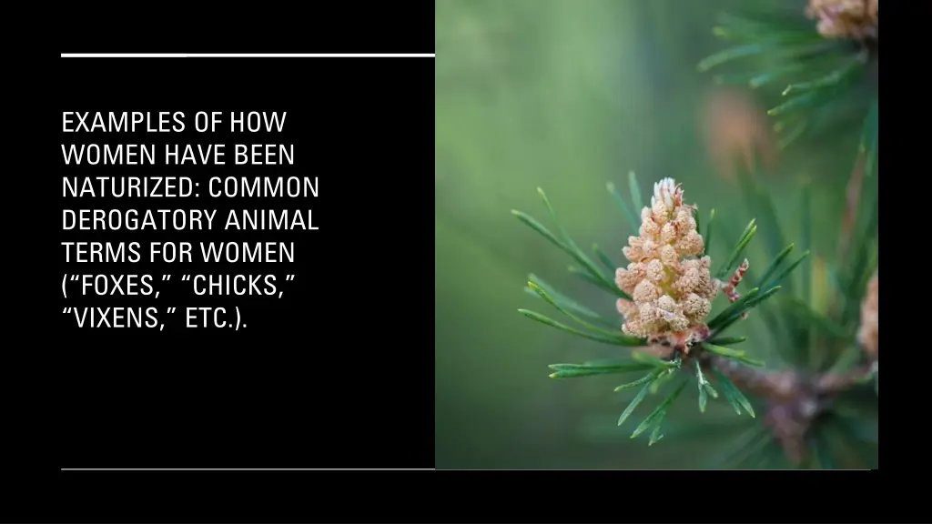 examples of how women have been naturized common