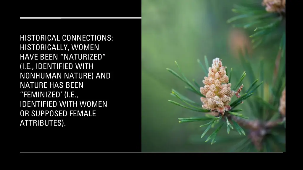historical connections historically women have