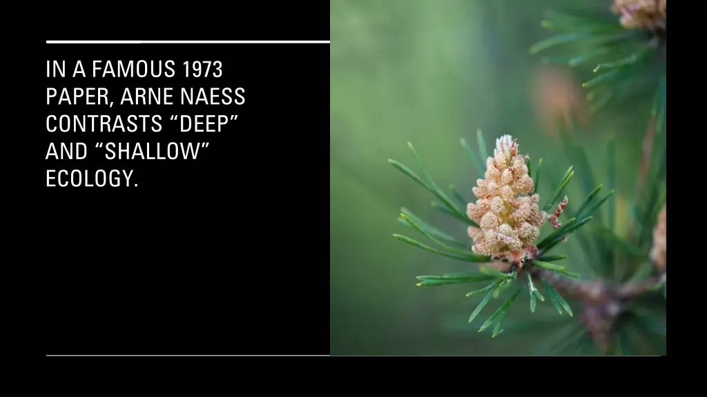 in a famous 1973 paper arne naess contrasts deep