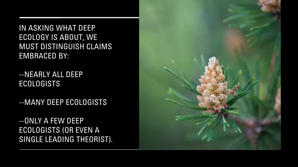 in asking what deep ecology is about we must