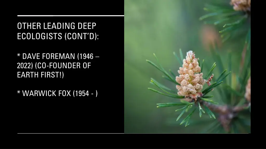 other leading deep ecologists cont d