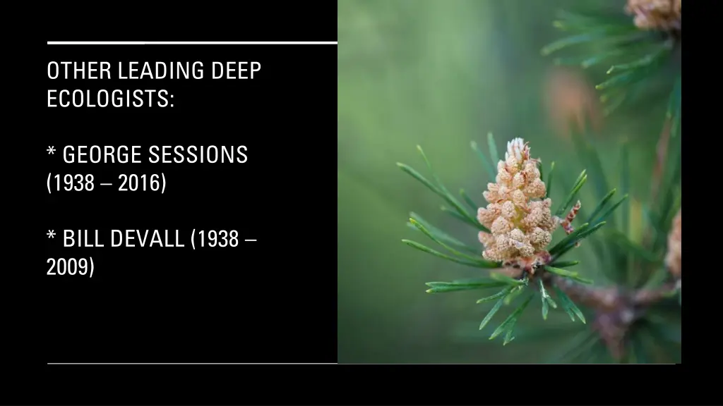 other leading deep ecologists