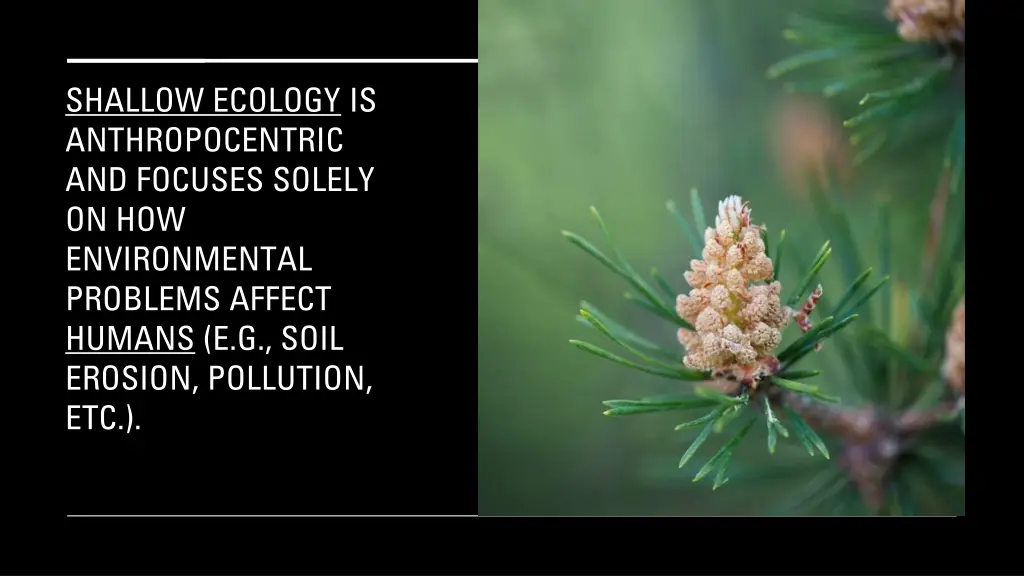 shallow ecology is anthropocentric and focuses