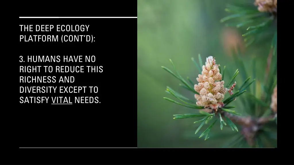 the deep ecology platform cont d 1