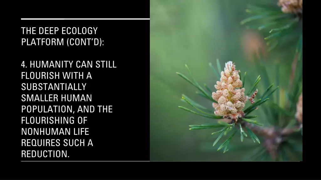 the deep ecology platform cont d 2
