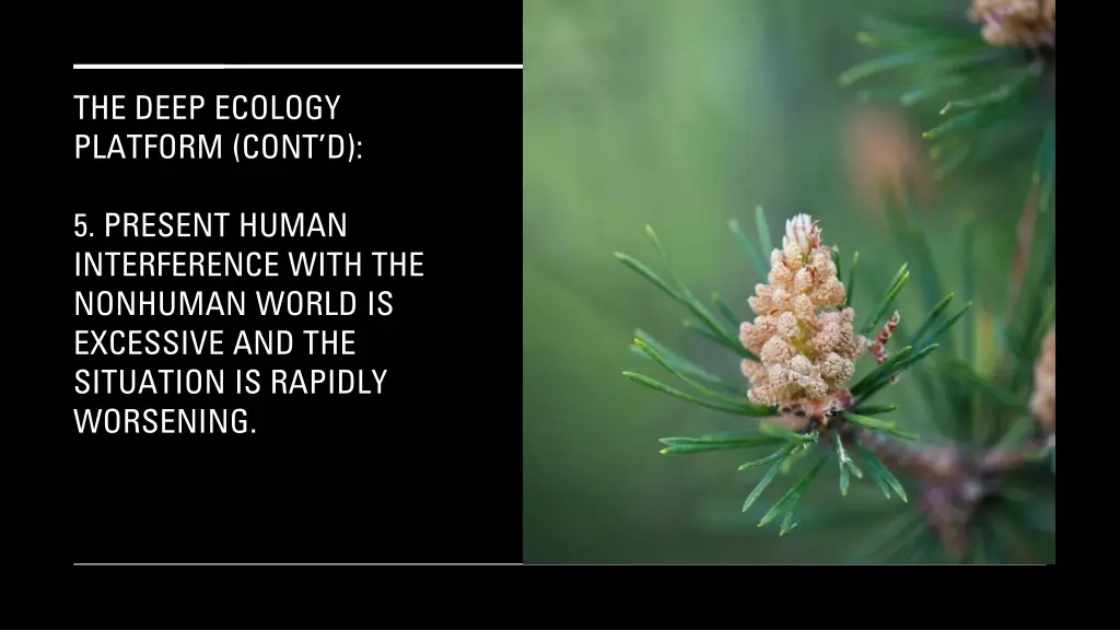 the deep ecology platform cont d 3