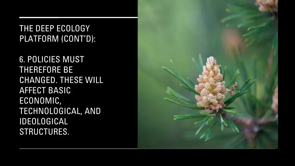 the deep ecology platform cont d 4