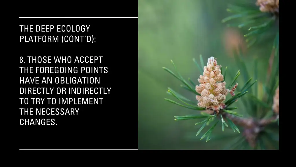 the deep ecology platform cont d 6