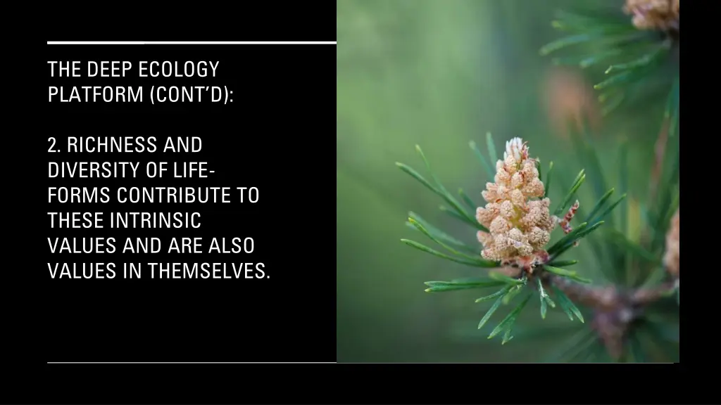 the deep ecology platform cont d