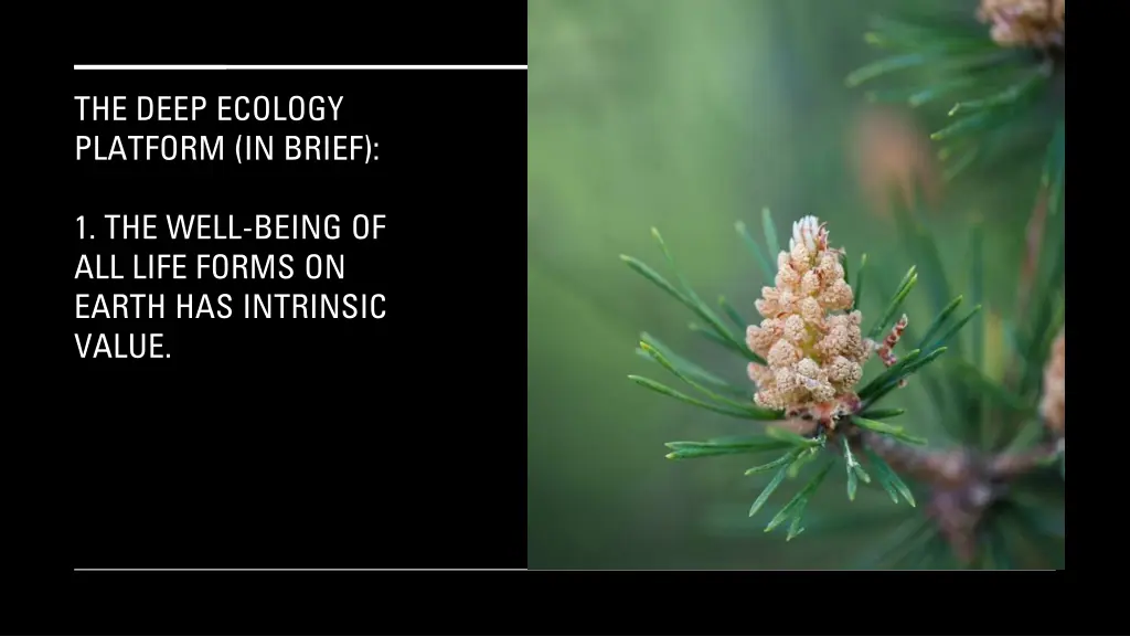the deep ecology platform in brief
