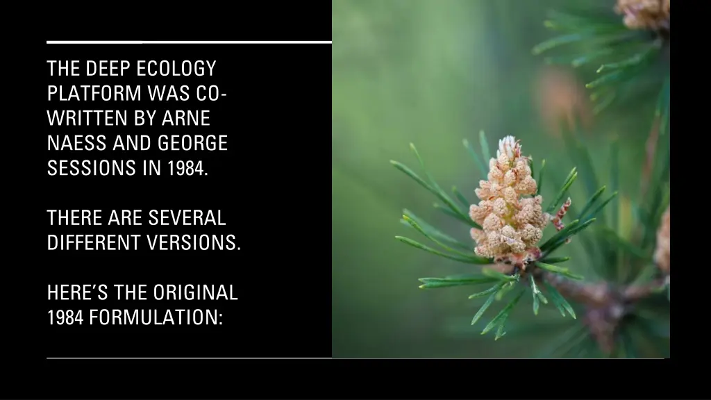 the deep ecology platform was co written by arne