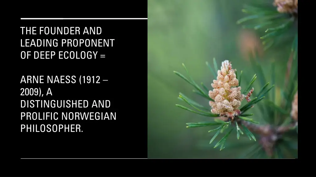 the founder and leading proponent of deep ecology