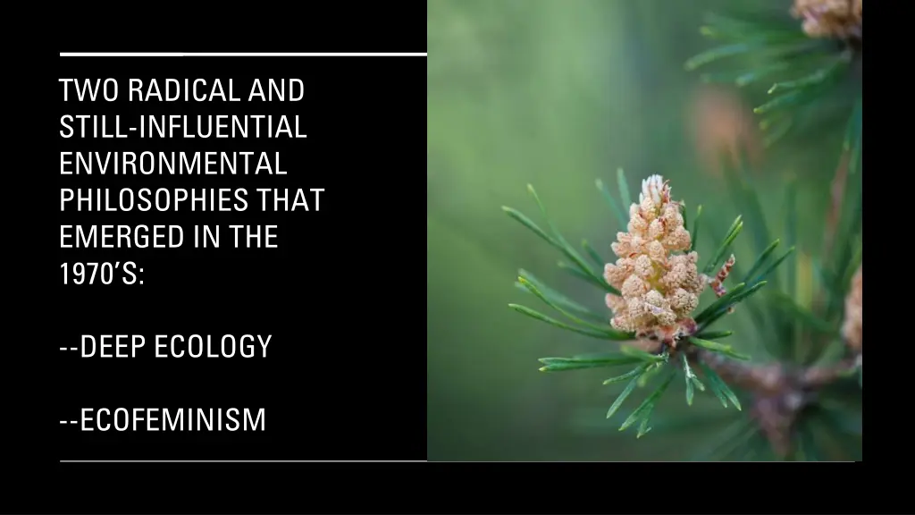 two radical and still influential environmental
