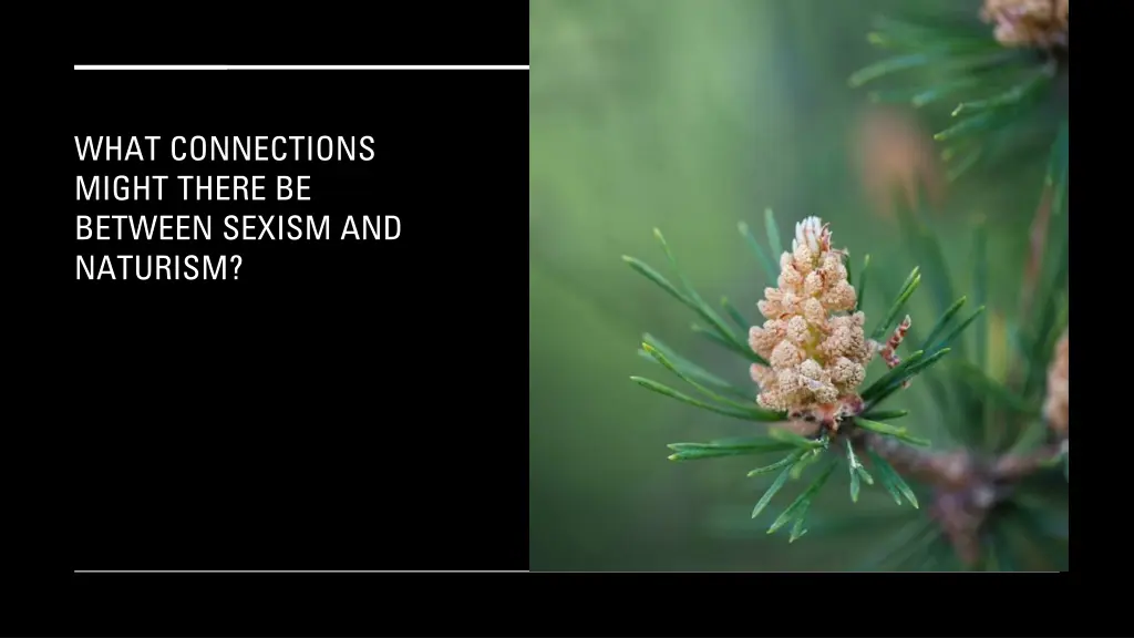 what connections might there be between sexism