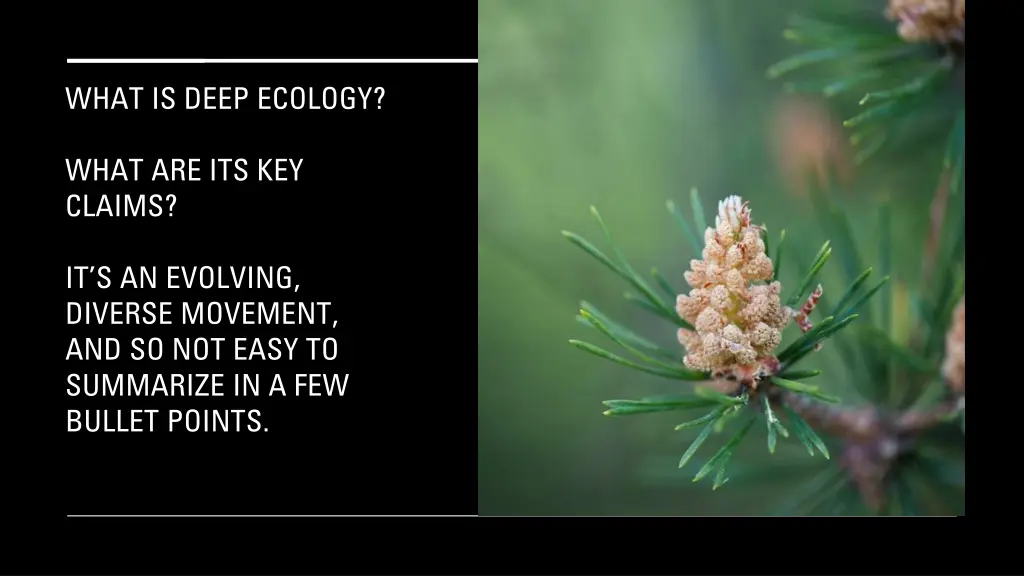 what is deep ecology