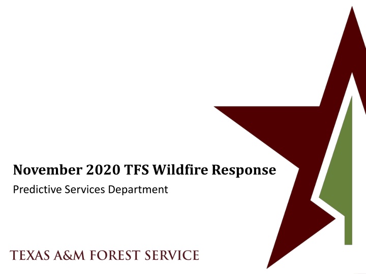 november 2020 tfs wildfire response