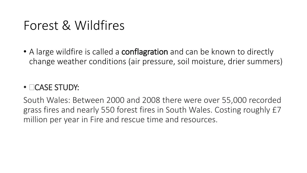 forest wildfires 1