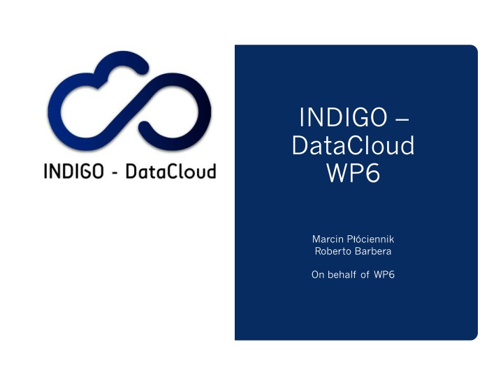 indigo datacloud wp6