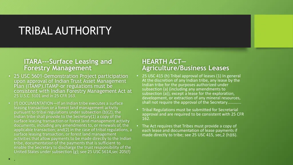 tribal authority