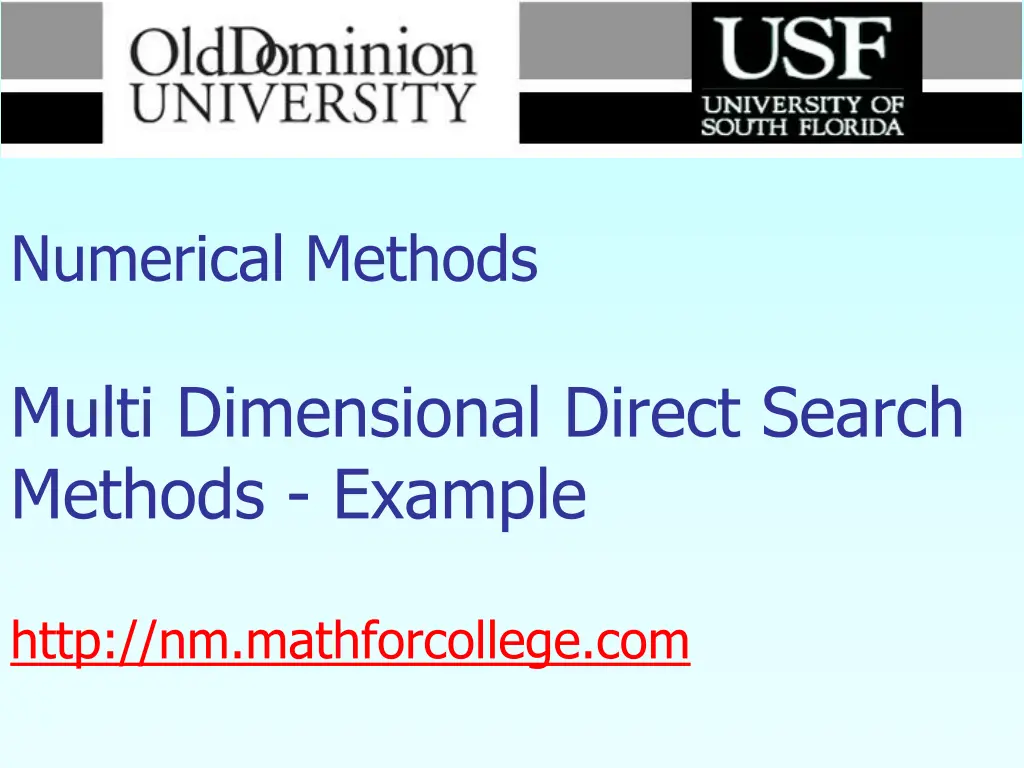 numerical methods multi dimensional direct search