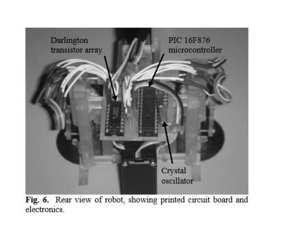 slide14