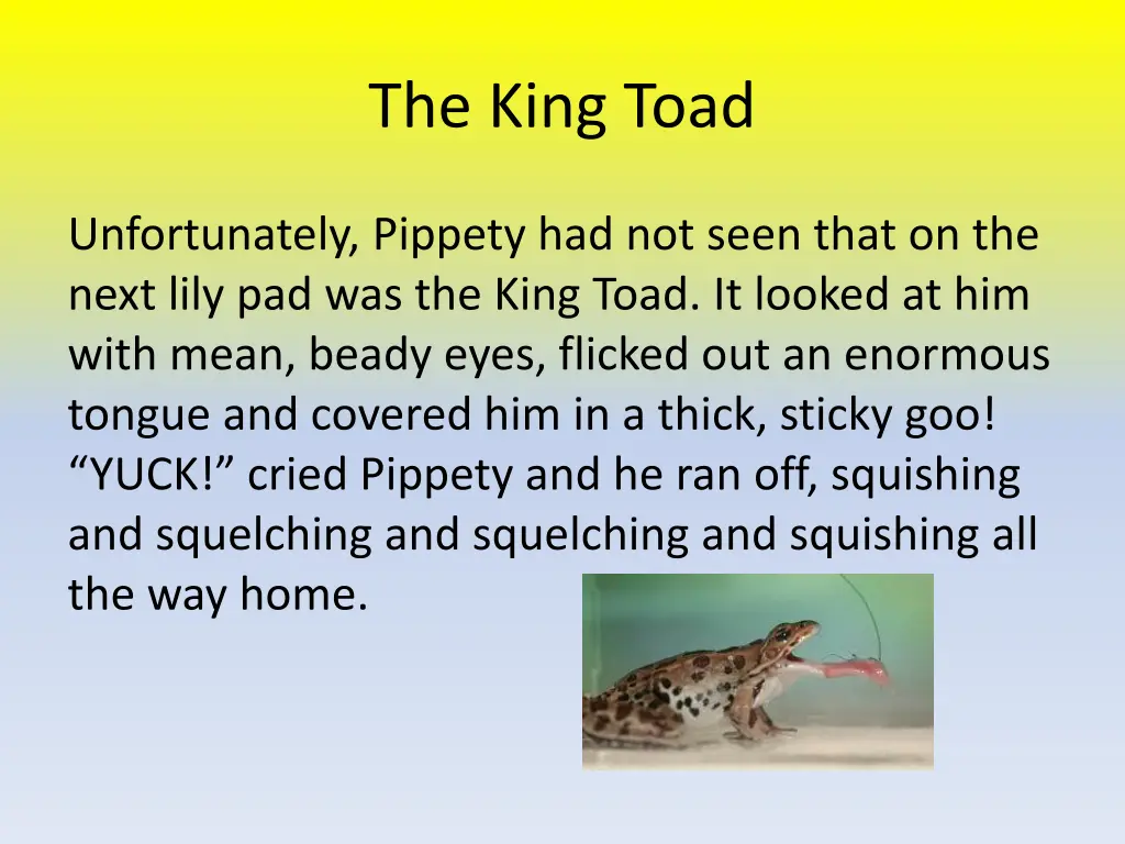 the king toad