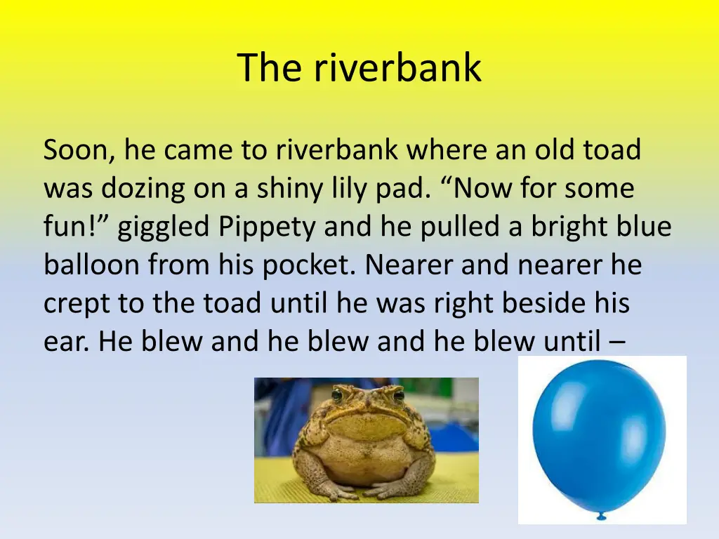 the riverbank
