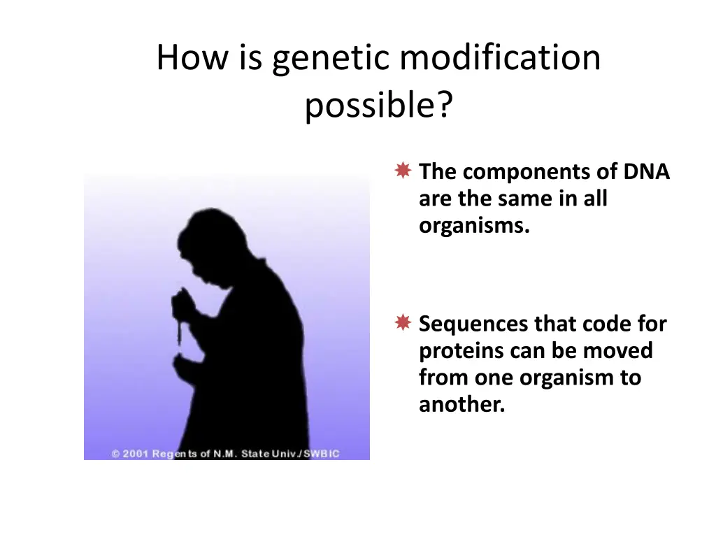 how is genetic modification possible