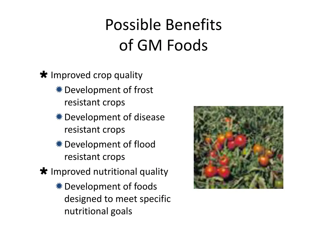 possible benefits of gm foods 2