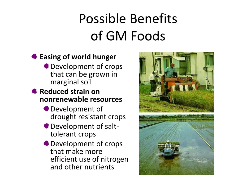 possible benefits of gm foods