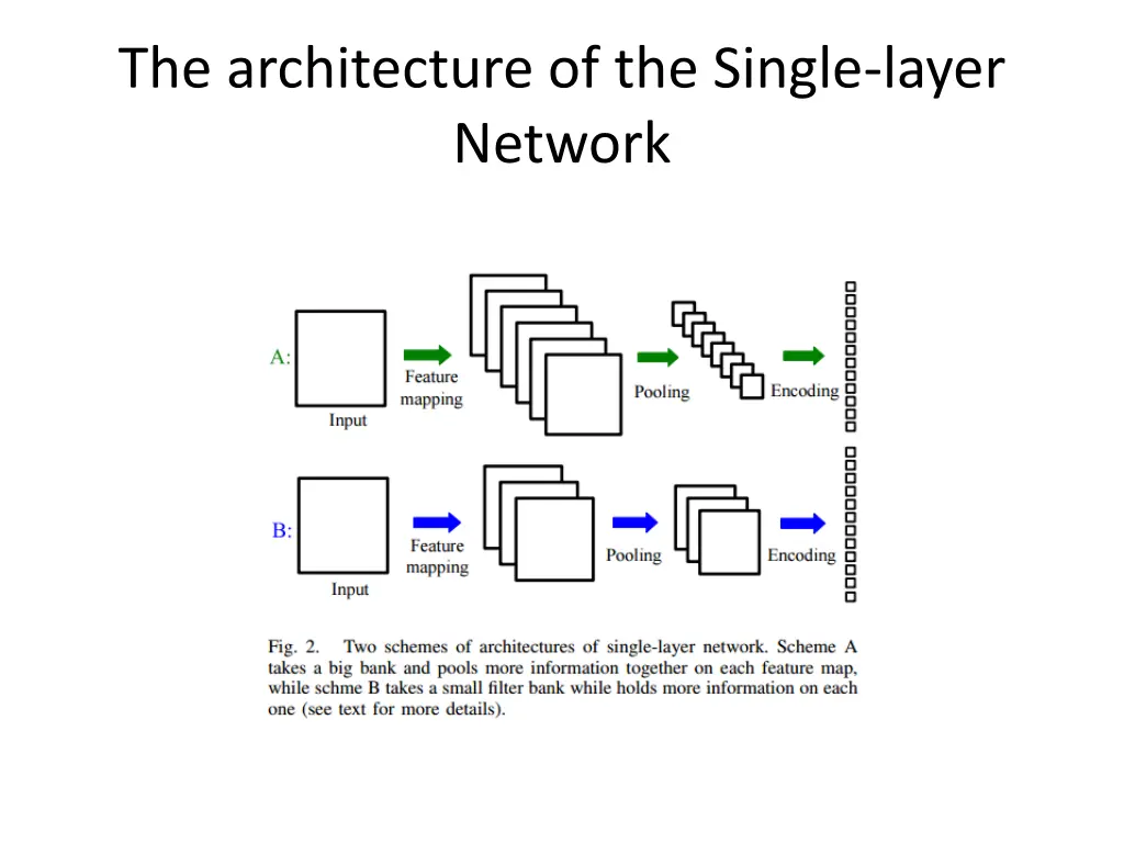 the architecture of the single layer network