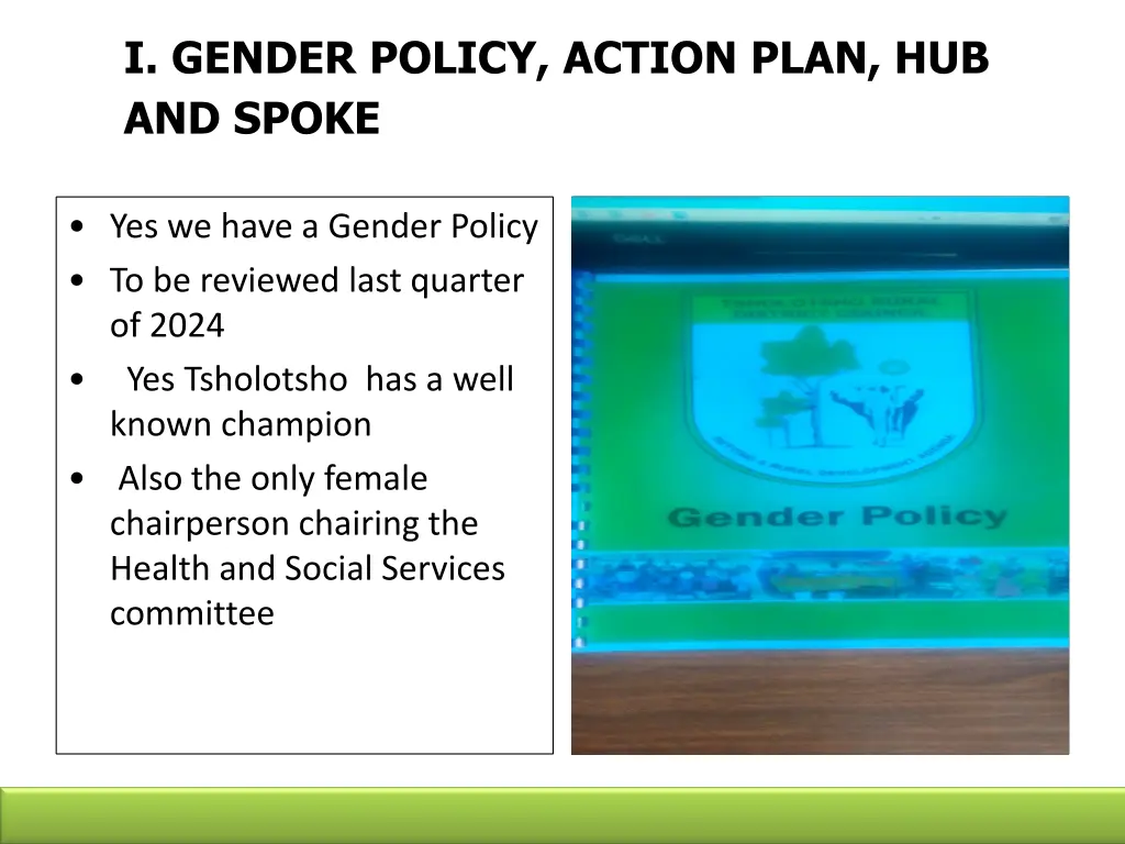 i gender policy action plan hub and spoke