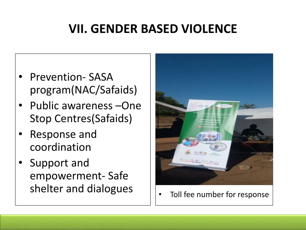 vii gender based violence
