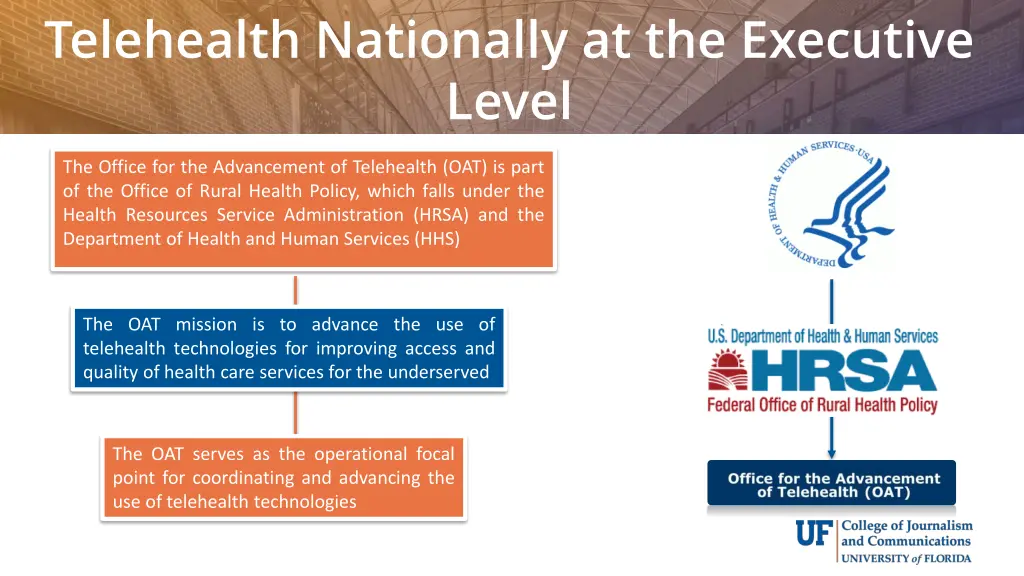 telehealth nationally at the executive level