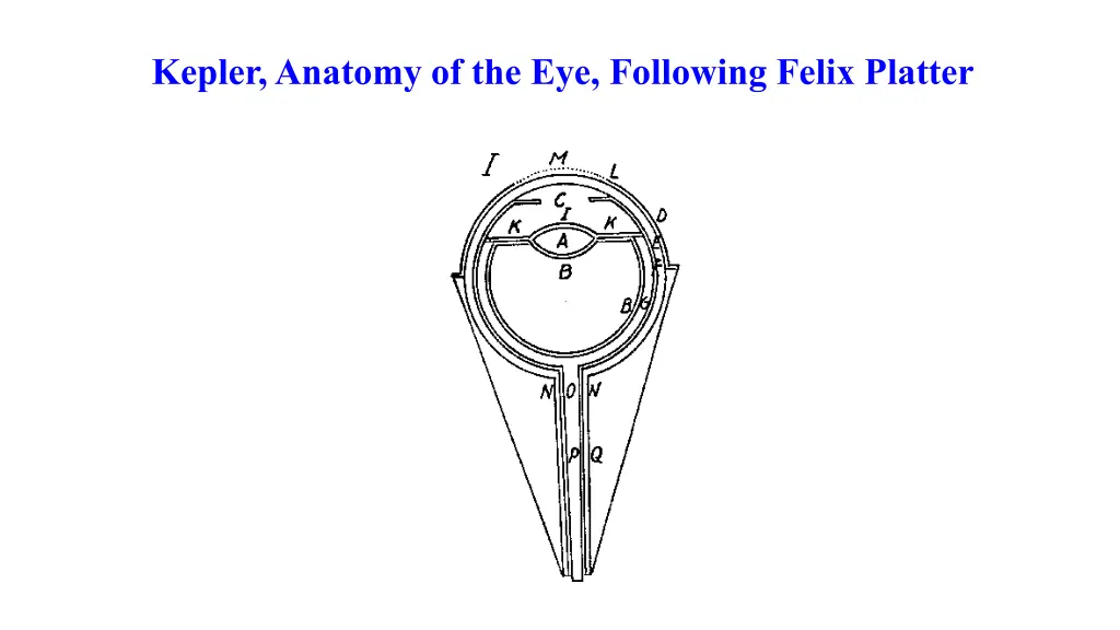 kepler anatomy of the eye following felix platter