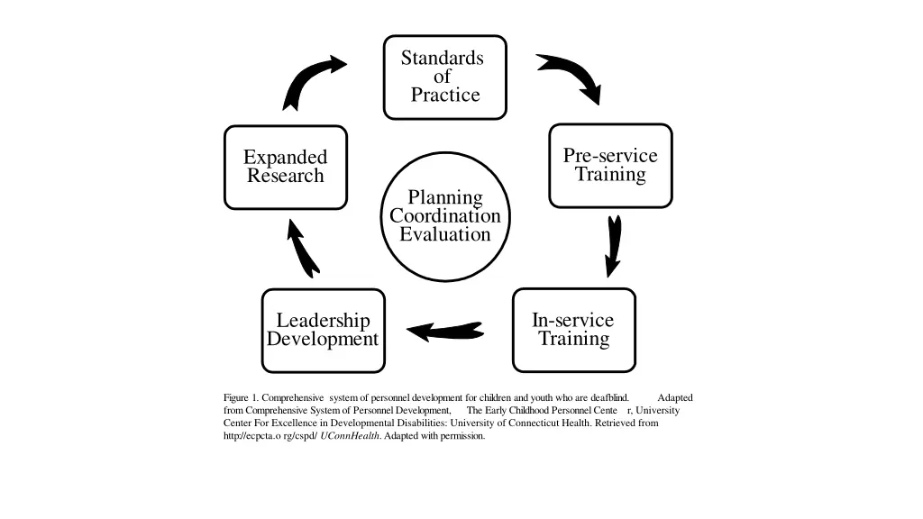 standards of practice