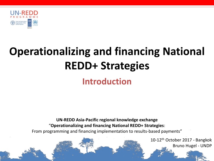 operationalizing and financing national redd