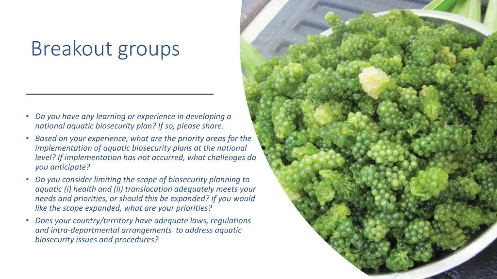 breakout groups
