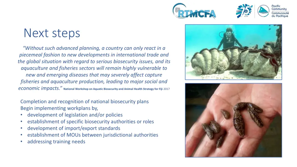 next steps