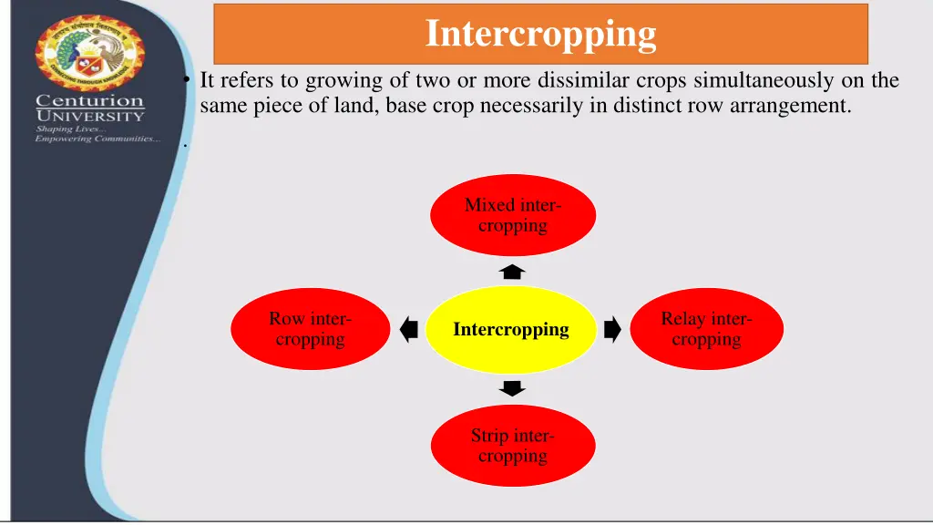 intercropping