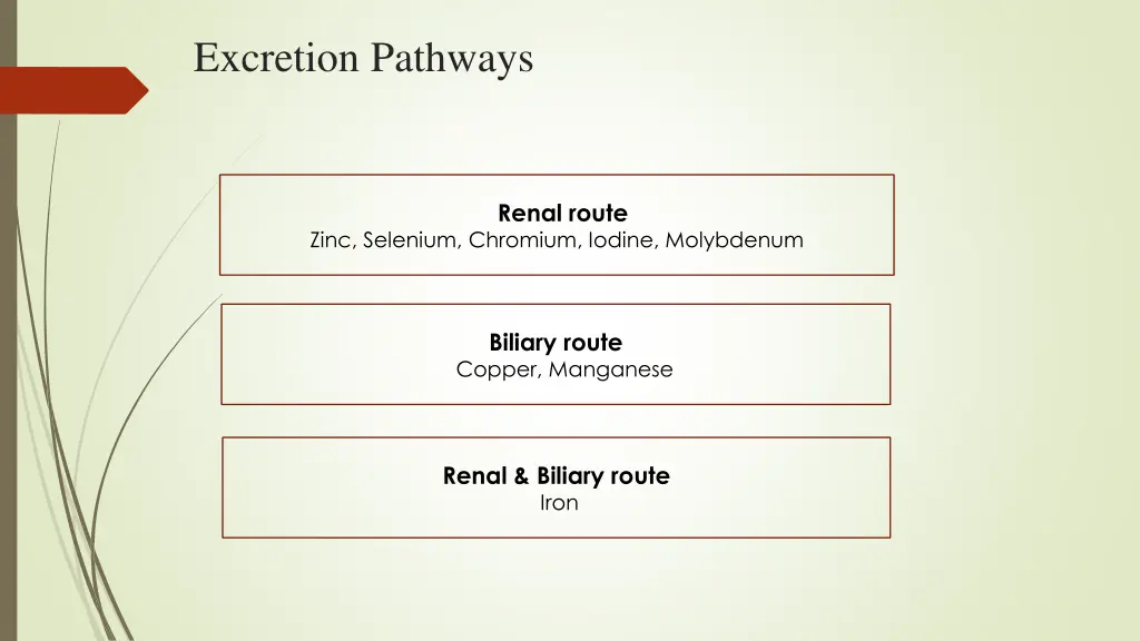 excretion pathways