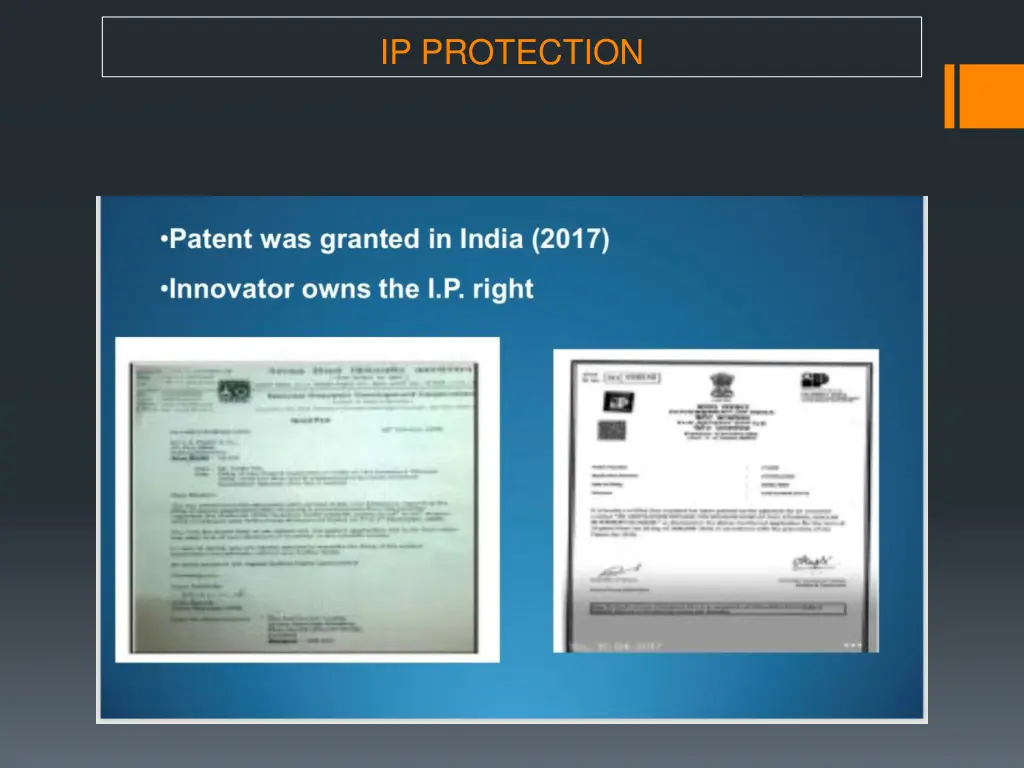 ip protection